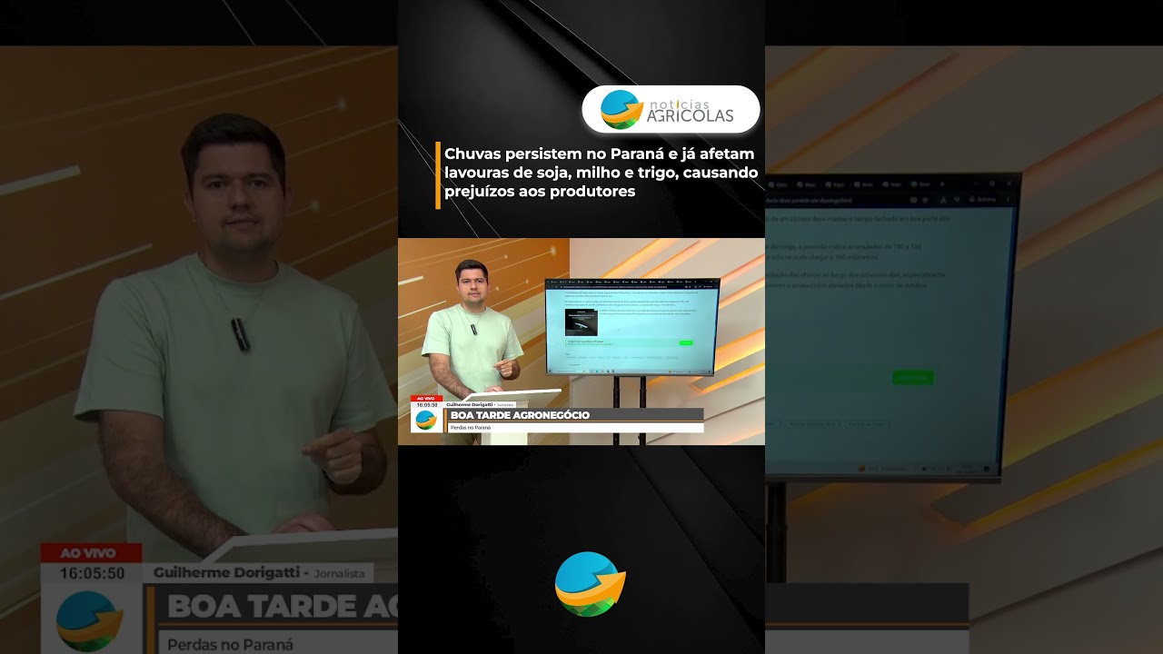 Chuvas persistem no PR e já afetam lavoura de soja, milho e trigo, causando prejuízos aos produtores