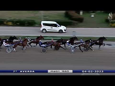 Aversa trotto 4 Febbraio 2023 - 7° Corsa