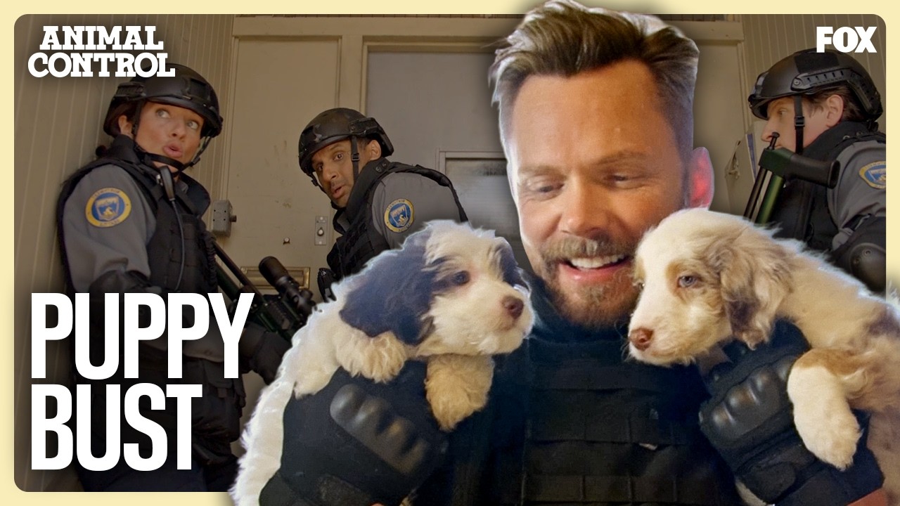 The Precinct Will Stop At Nothing To Save These Puppies | Animal Control