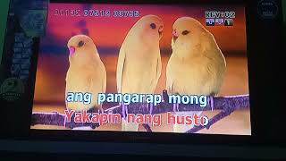 (1132) Sandali Na Lang - Agot Isidro (KARAOKE)