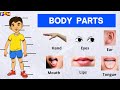 Body Parts Parts Of Body For With Spelling Learn Body Parts Basic Study Body Parts Name