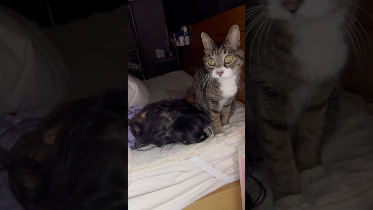 サンタくんの安定の見守り☺️❤️