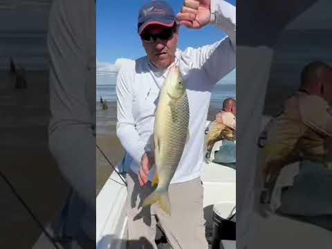 HOY MUY BUENAS BOGAS EN BERISSO CON TOBI PESCARESERVAS AL☎️2214194449 @sebaronin☎️2215086923.