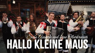 Musik-Video-Miniaturansicht zu Hallo kleine Maus Songtext von Swinging Funfares feat. Sašo Avsenik & seine Oberkrainer