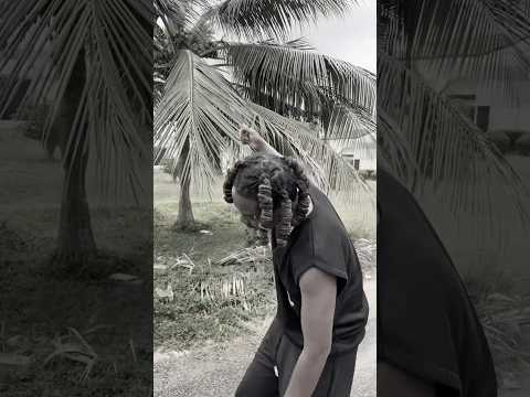 Aidez moi street freestyle #hiphop #music #afrobeat #duet