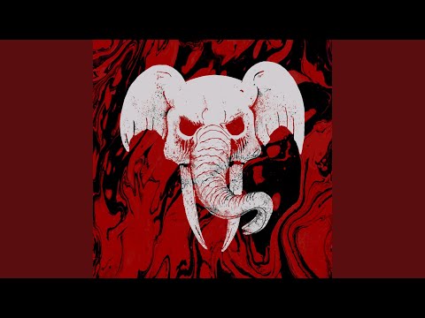 The Torch - Pet Elephant