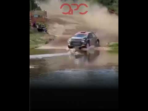 RALLY SUDAMERICANO: UN PERRO CRUZÓ LA PISTA Y SE SALVÓ DE MILAGRO EN MINA CLAVERO 🐶🏁