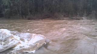Lewis River Flooding at Daybreak Park