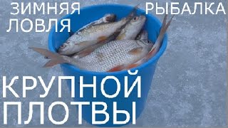 Ловля плотвы на яузе зимой