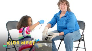 Kids Meet a Worm Farmer | Kids Meet | HiHo Kids