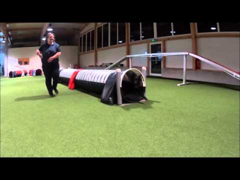 Agiraining   15 01 2016