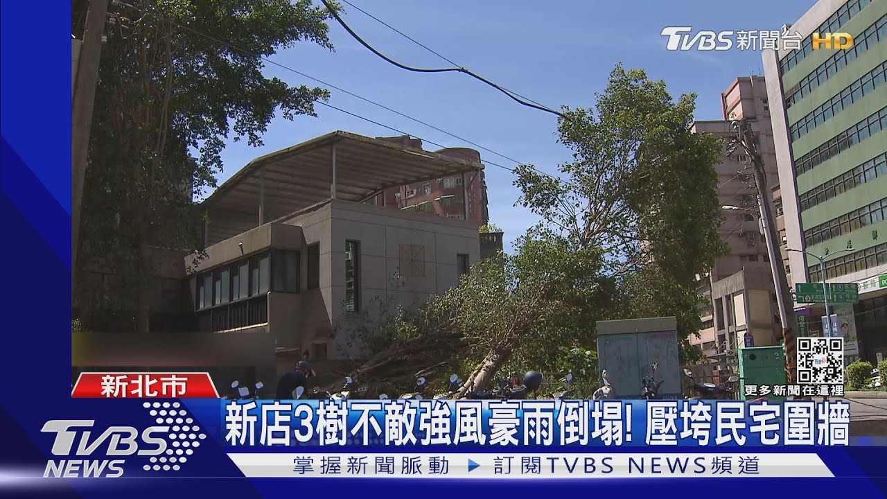 新店3樹不敵強風豪雨倒塌! 壓垮民宅圍牆