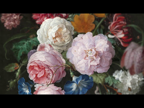 Art from the Dutch Golden Age