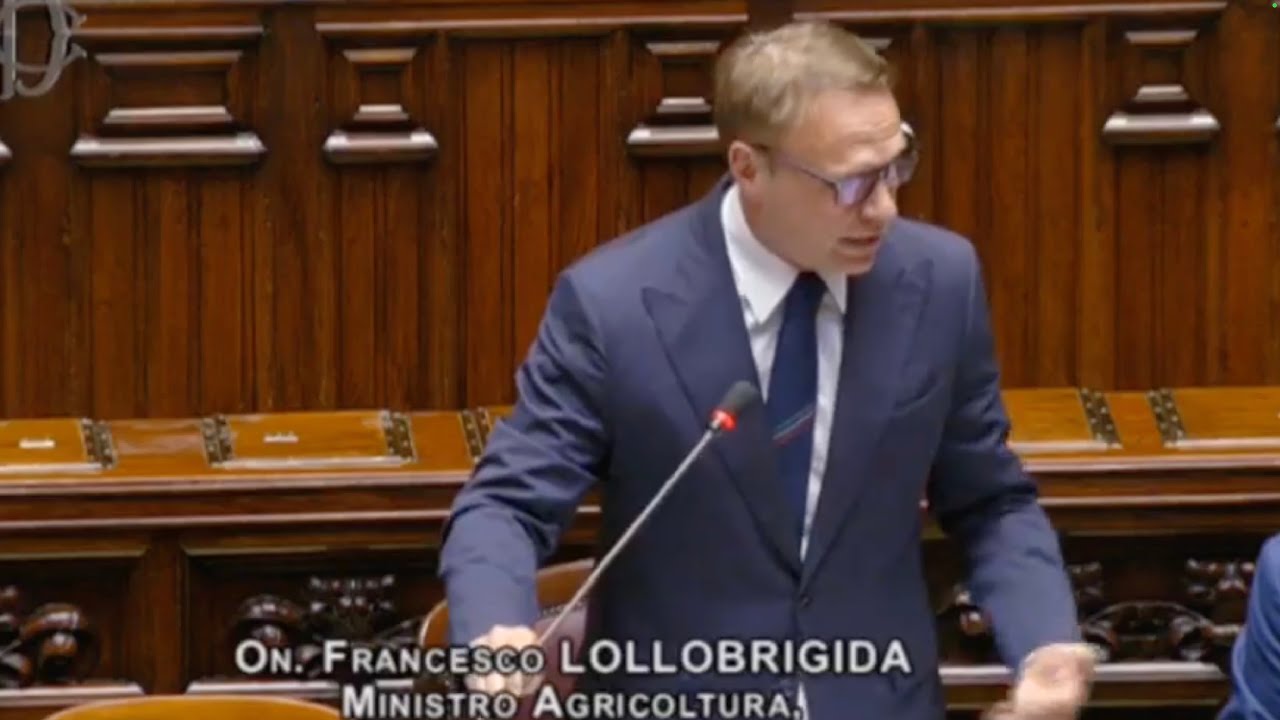 LOLLOBRIGIDA RISPONDE AL QUESTION TIME ALLA CAMERA DEI DEPUTATI