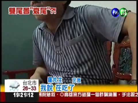 吃到"雙尾"魚 男子怕"衰尾"拜拜