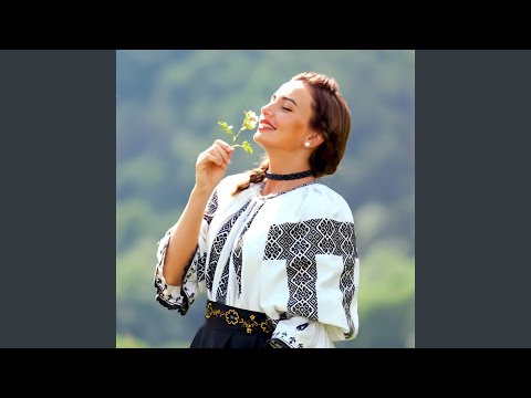 Mult Te-Am Așteptat Bădița