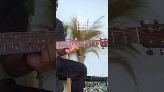 Download lagu Kota mati - Peterpan intro gitar akustik Chord mp3 Download lagu Kota mati - Peterpan intro gitar akustik Chord mp3