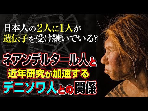 考古学的発見は歴史を揺るがす:私たちはネアンデルタール人の隣に住んでいた