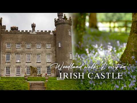 Irish castle | life in the countryside | Ireland | nature ASMR | Tullynally castle