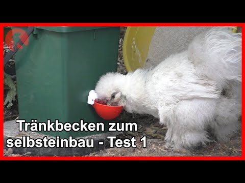 117 Drinking Trough Test Part 1 - Jensman and the Huhns