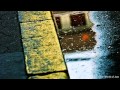 Chris Botti - A Thousand Kisses Deep (Live)