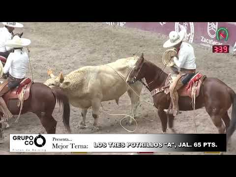 06 Los Tres Potrillos, Jal