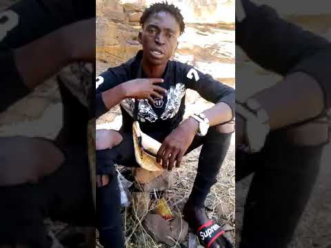 wiz baresko officiel Bâtard fara