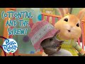 OfficialPeterRabbit Cottontail And The Shrew 10 Mins Compilation Cartoons For Kids