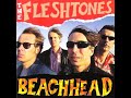 The Fleshtones - Bigger And Better / I Am What I Am / Hit Me ! (2005)