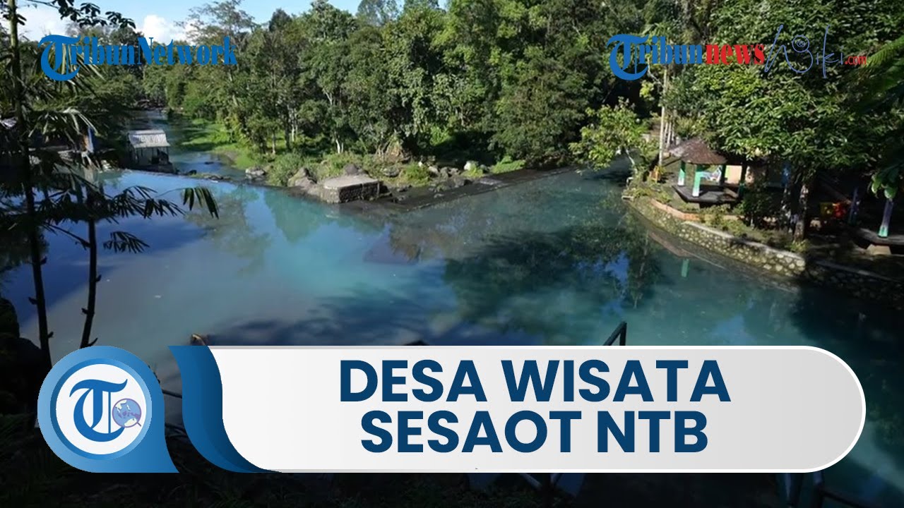 Desa Wisata Sesaot, kawasan hutan lindung di Lombok Barat NTB, kaya akan potensi alam