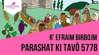 Parashá Ki Tavô