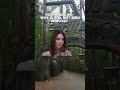 JUST REMOVE RITA Do You Agree DigitalDan Altontowers Rita 2024 Rollercoaster 2005