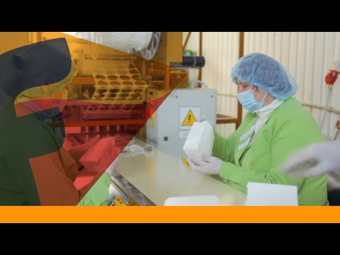 How Dallah Pharma automated a complex supply chain