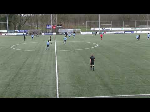 Samenvatting VVG25 - vv Dieren