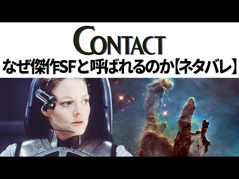 プエルトリコのアマゾン (アマソナ ヴィッタータ)
