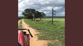 Gooi Maar Nog 'N Buffel