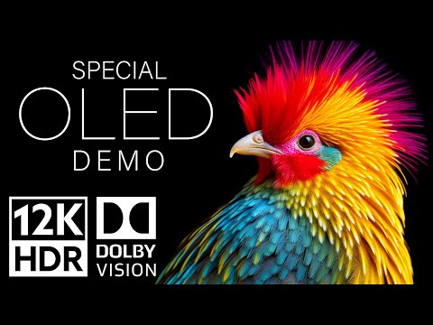 12K HDR 240 fps Dolby Vision - Special Oled Demo