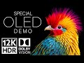 12K HDR Video ULTRA HD 120fps Dolby Vision - Special Oled Demo