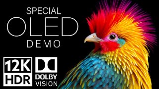 12K HDR 240 fps Dolby Vision - Special Oled Demo