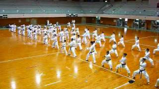 preview picture of video 'Karate seminar at the Ku Yu Kai International Karate Tournament in Wakayama, Japan July 209'