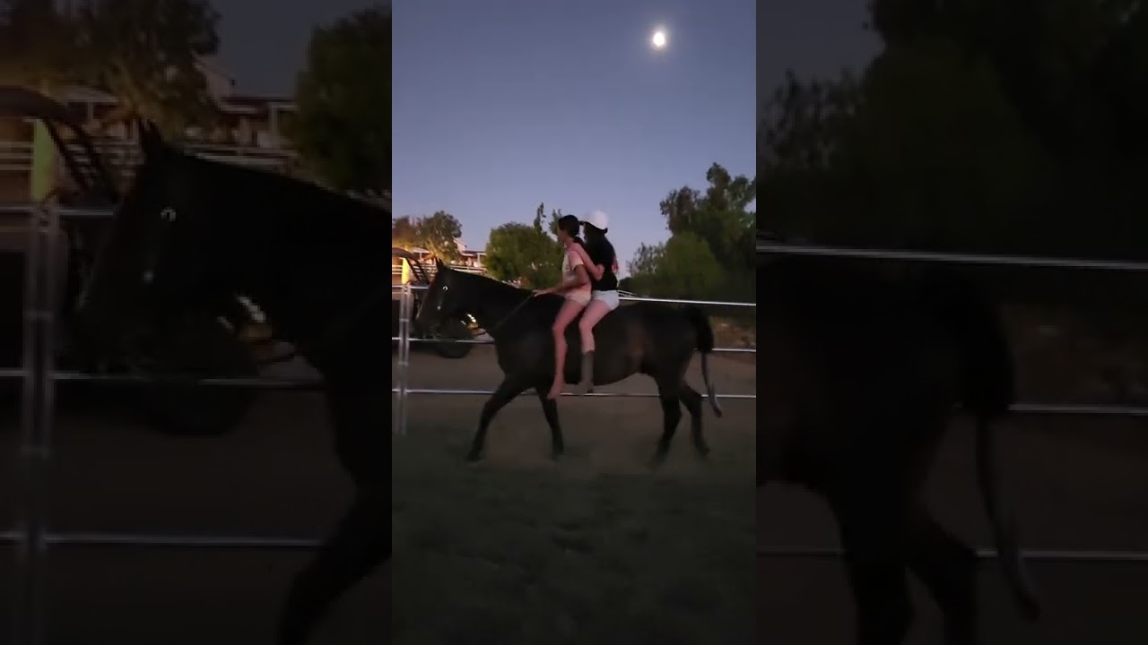 Riding Double with My Friend😂 #shorts #horse #bareback