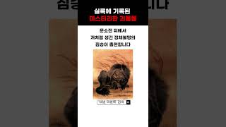 Download lagu 조선왕조실록에 기록된 미스터리한 괴물들ㄷㄷ mp3