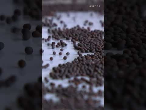 Dijon #mustard, originally #French, now largely uses globally sourced seeds. #France