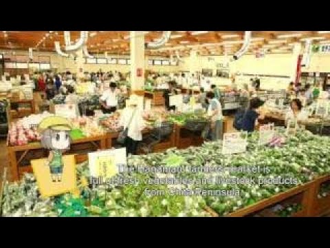 Walking In Date de Chita 3 12 Obu City Obu Akane