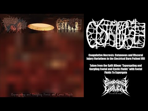 CYSTGURGLE - Coagulative Necrosis... [Single from an upcoming Split Album] (Goregrind/Gorenoise)