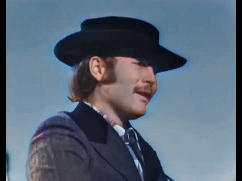 The Byrds - Mr. Tambourine Man (1965, Stereo) HD (IN COLOUR)