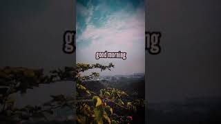 Download lagu Story' WA Keren - Good Morning mp3 Download lagu Story' WA Keren - Good Morning mp3