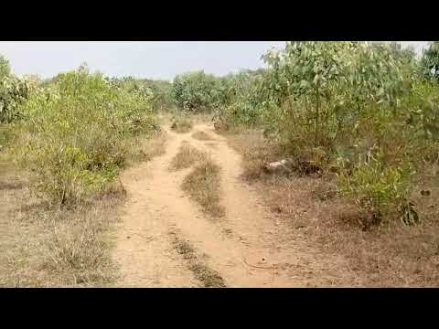  6 Acre Agricultural/Farm Land for Sale in Vandavasi, Tiruvannamalai