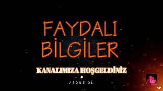 org dersleri agora meyhanesi nasıl çalınır çalışmalar
