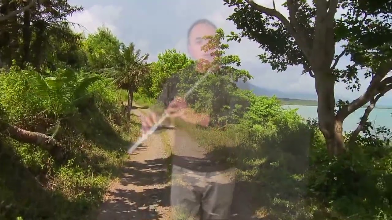 Promotional video thumbnail 2 for David Blackmore Jazz Flutist